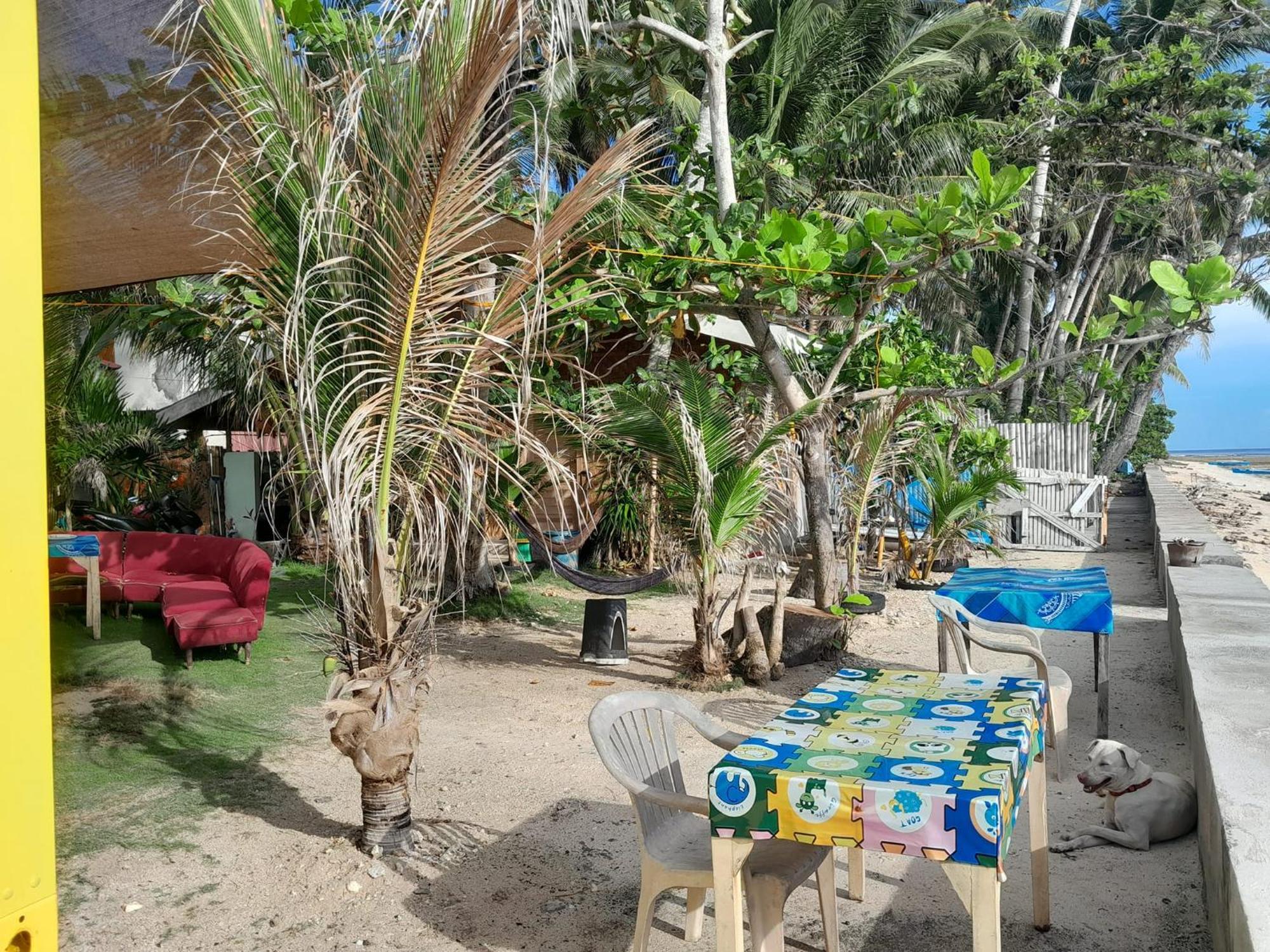 Enrico'S Guesthouse Siquijor Bagian luar foto